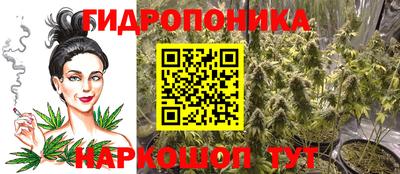стаф Заводоуковск