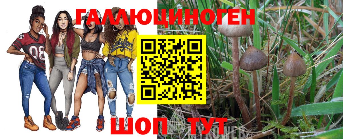 Псилоцибиновые грибы прущие грибы  Вход с VPN  Псилоцибиновые грибы прущие грибы  Тельмана 