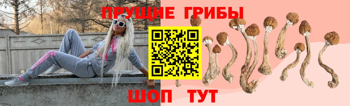 Галлюциногенные грибы мухоморы Тельмана
